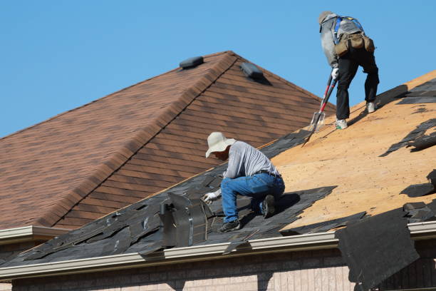 Best Roof Moss and Algae Removal  in Cricket, NC