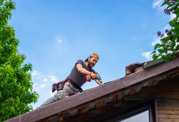 Best Gutter Installation and Repair  in Cricket, NC